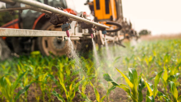 Professional Pest Control in Gaston, SC